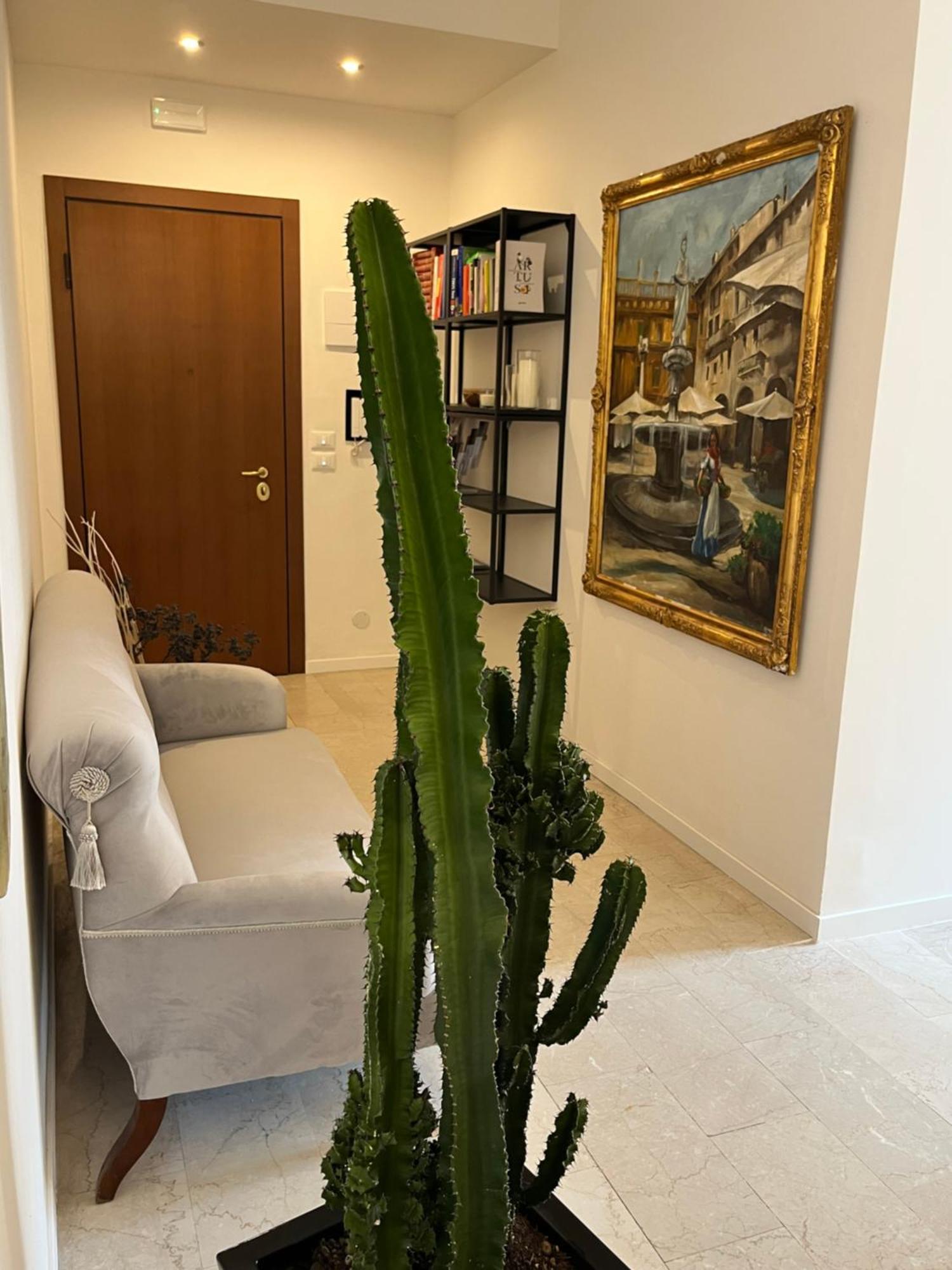 Fleur Blanche Alojamento de Acomodação e Pequeno-almoço